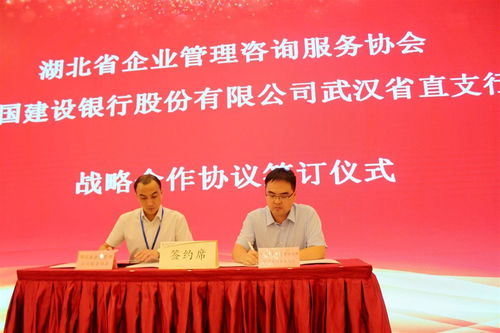 湖北省企业管理咨询服务协会换届,程鹏当选为会长